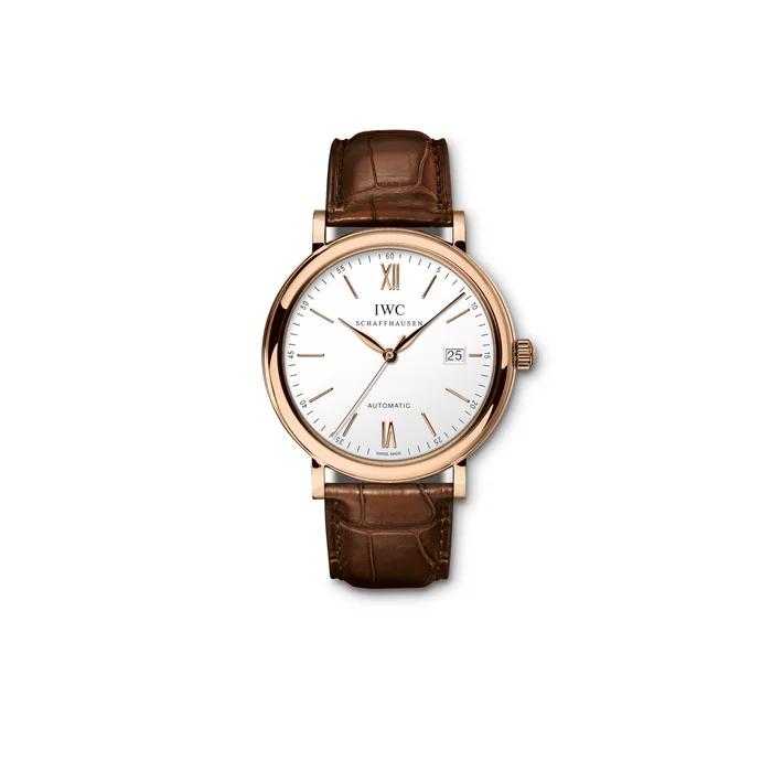 Iwc iw356504 2025